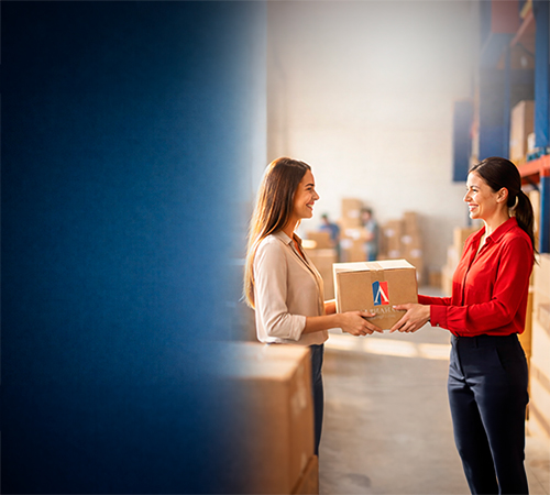 Loja Revenda Alphahall